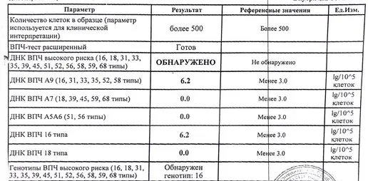 впч анализы